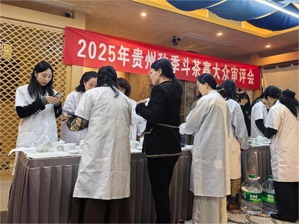 2025年贵州省秋季斗茶赛鸣锣开赛，106只茶样角逐“茶王”桂冠